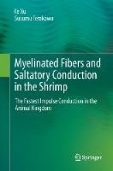 Myelinated Fibers and Saltatory Conduction in the Shrimp - The Fastest Impulse Conduction in the Animal Kingdom
