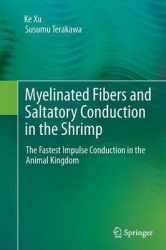 Myelinated Fibers and Saltatory Conduction in the Shrimp - The Fastest Impulse Conduction in the Animal Kingdom