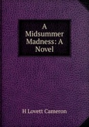 A Midsummer Madness: A Novel