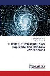 Bi-level Optimization in an Imprecise and Random Environment