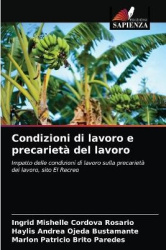 Condizioni di lavoro e precarietà del lavoro