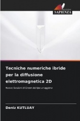 Tecniche numeriche ibride per la diffusione elettromagnetica 2D