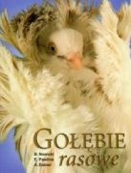 Golebie rasowe