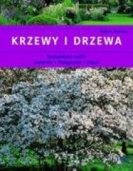 Krzewy i drzewa