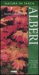 Alberi