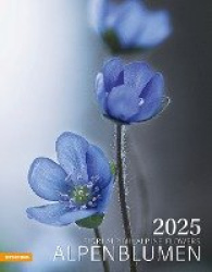 Alpenblumen Kalender 2025