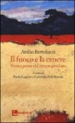Il fuoco e la cenere. Versi e prose dal tempo perduto