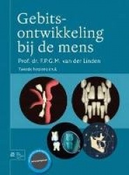 Gebitsontwikkeling Bij de Mens