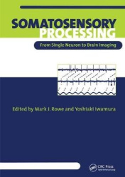 Somatosensory Processing - From Single Neuron to Brain Imaging