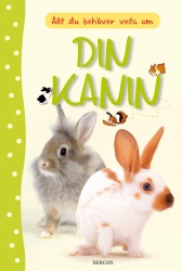 Allt du behöver veta om din kanin