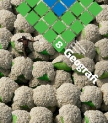 PRIO Geografi Grundbok 8