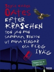 Efter kraschen tog jag mig samman, bredde ut mina vingar och flög iväg