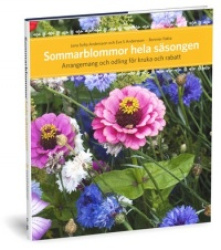 Sommarblommor hela säsongen : arrangemang för kruka och rabatt