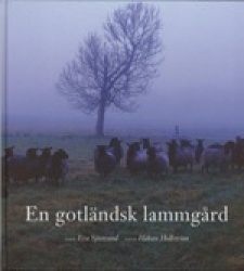 En gotländsk lammgård : Nygårds i Buttle