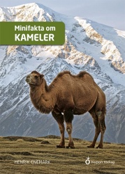 Minifakta om kameler
