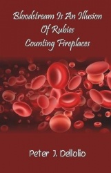 Bloodstream Is An Illusion  Of Rubies Counting Fireplaces