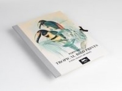 Tropical Bird Prints - Art Portfolio