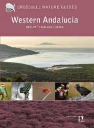 Western Andalucia