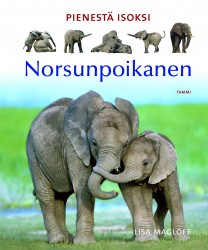 Norsunpoikanen : Pienestä isoksi