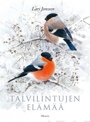 Talvilintujen elämää