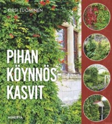 Pihan köynnöskasvit