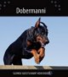 Dobermanni