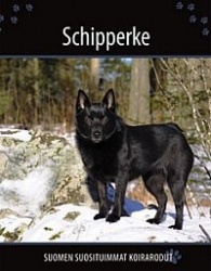 Schipperke