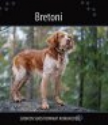 Bretoni