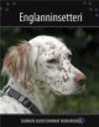 Englanninsetteri