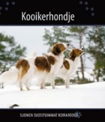 Kooikerhondje