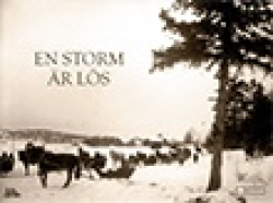 En storm är lös