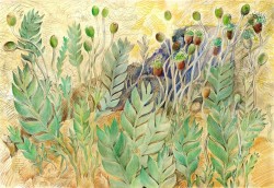 Ahvenanmaalta Annjaloanjiin : sammalia Suomesta ja hieman muualtakin