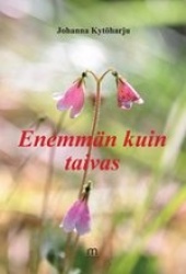 Enemmän kuin taivas