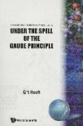 Under The Spell Of The Gauge Principle