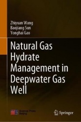 Natural Gas Hydrate Management in Deepwater Gas Well