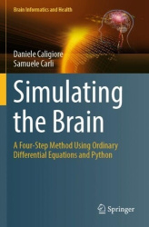 Simulating the Brain - A Four-Step Method Using Ordinary Differential Equations and Python