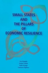 Small States and the Pillars of Economic Resilience