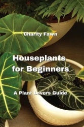 Houseplants for Beginners - A Plant Lovers Guide