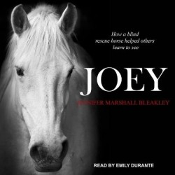 Joey - How a Blind Rescue Horse Helped Others Learn to See