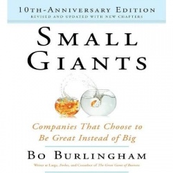 Small Giants - Companies That Choose to Be Great Instead of Big, 10th-Anniversary Edition