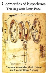 Geometries of Experience - Thinking with Remo Bodei