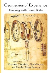 Geometries of Experience - Thinking with Remo Bodei