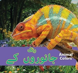Animal Colors (Urdu)/جانوروں کے رنگ