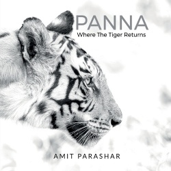 Panna
