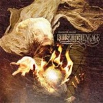 Disarm The Descent (cd)