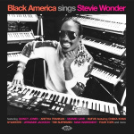 Black America sings Stevie Wonder (CD)