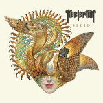 Splid (cd)