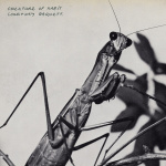 Creature Of Habit (CD)