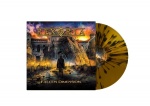 Fallen Dimension (LP)