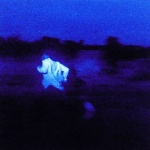 Never Enough (CD)